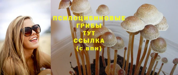 прущая мука Алзамай