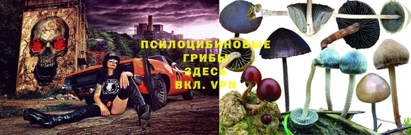 mdpv Алексеевка