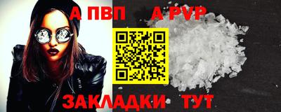 кокс Донской