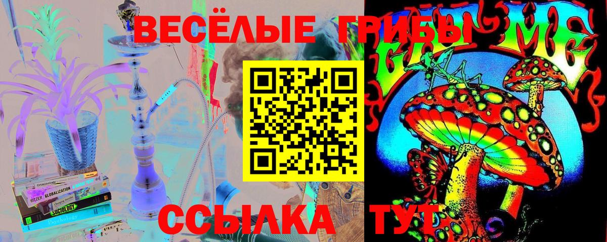 Псилоцибиновые грибы мицелий Глазов